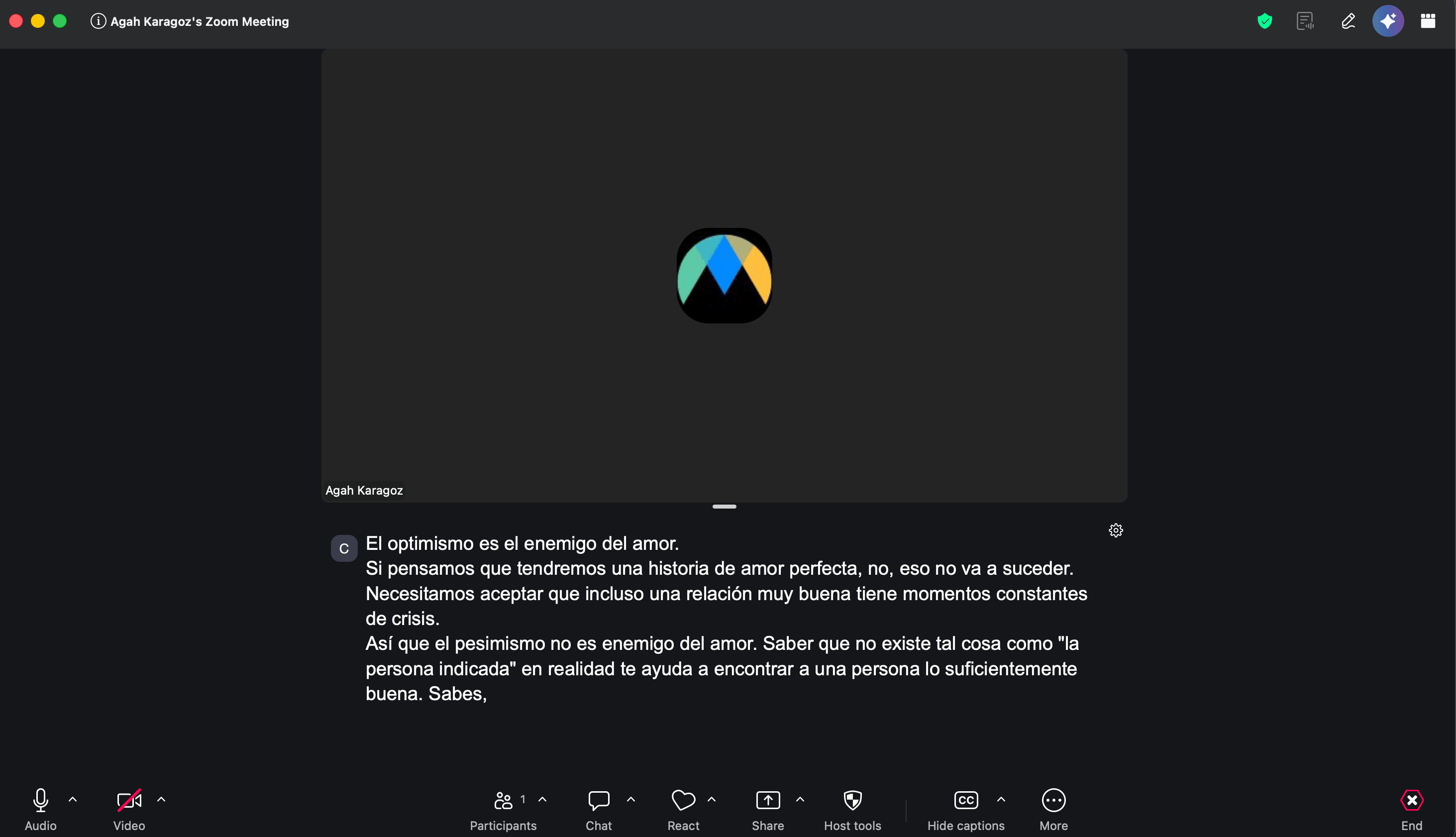 The translated captions showing inside the Zoom meeting.