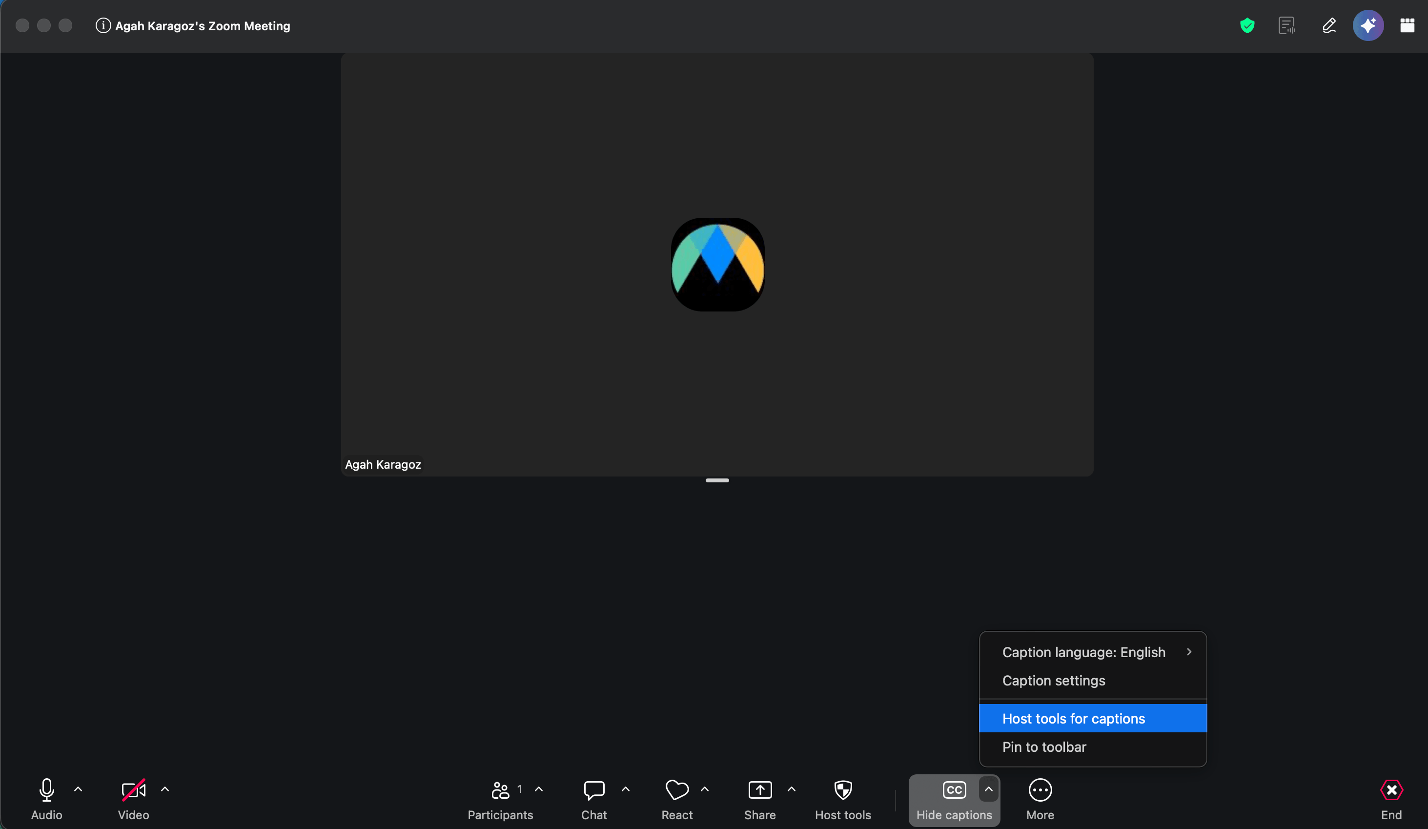 The Zoom captions menu with Host tools for captions.